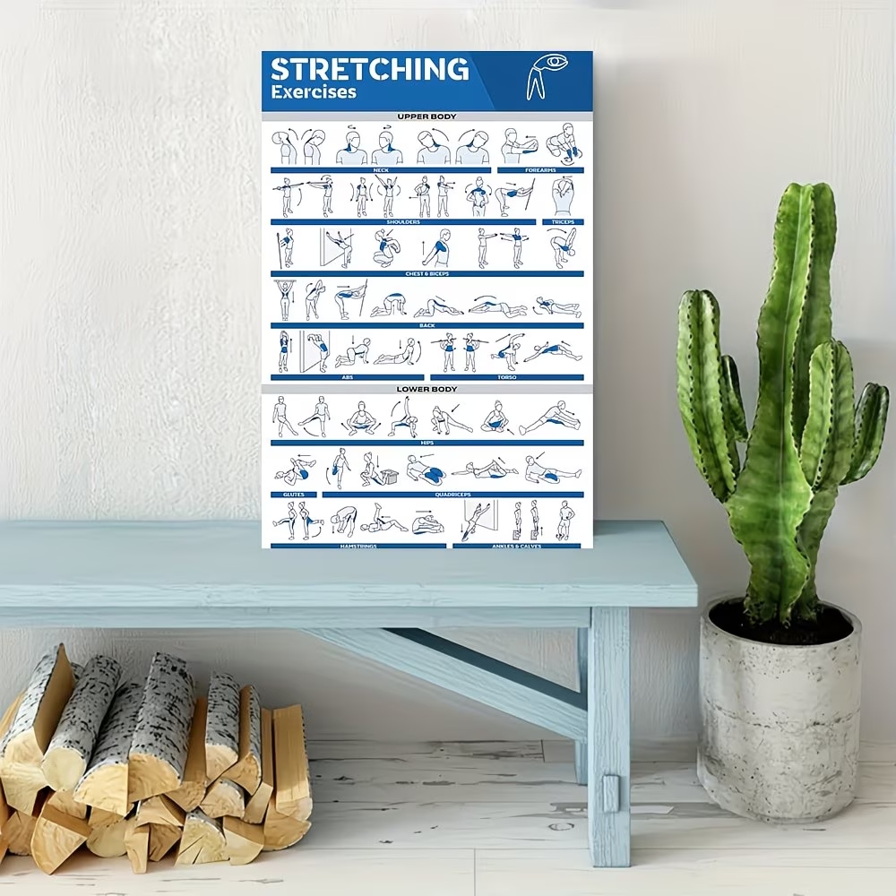 Modern Labeled Full-Body Stret - Label Maker recension och pris
